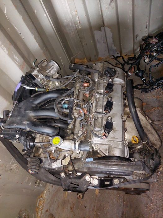 Двигатель Тойота Хайландер 3.3 3MZ