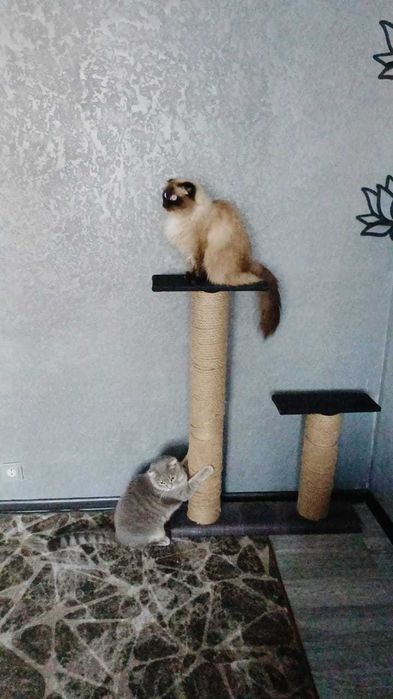 Продам или обмен