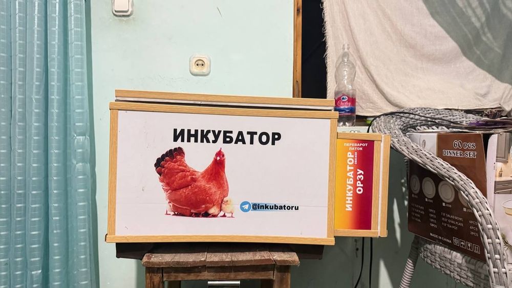 Inkubator 65 talik