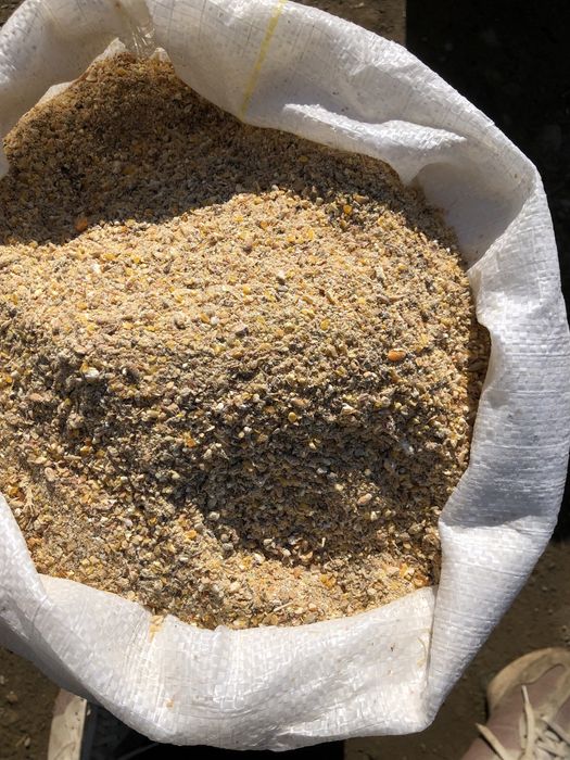 Urluiala pentru pui 100% naturala 19%proteina bruta