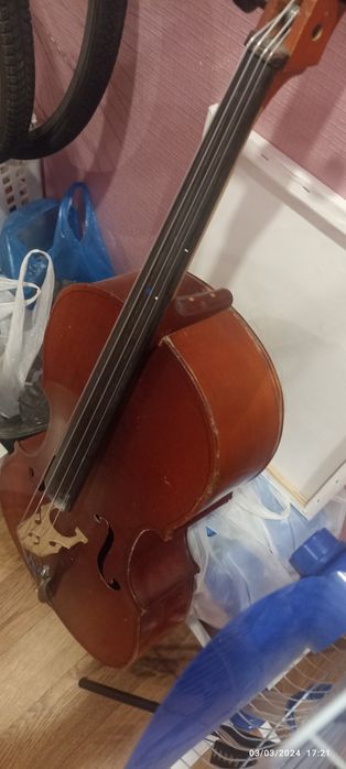 Веолончель музыкальная