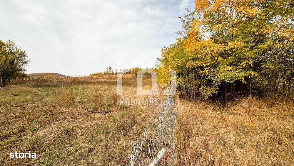 1.838 mp Construibil | Front 25,6 m | Zonă Rezidențială – Gădălin