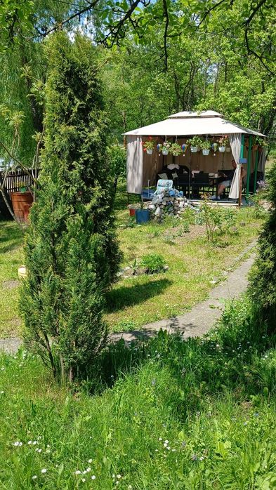 Vand Casa Provita de Jos