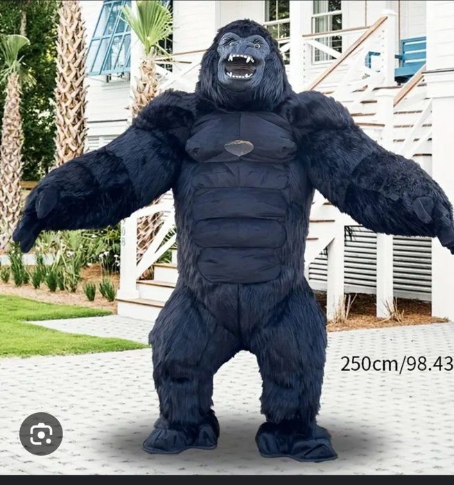 Gorilla boʻyi 2.60mr yangi