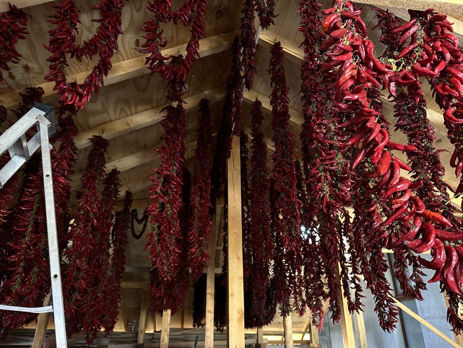 boia de ardei dulce și boia de ardei iute