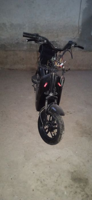 Суктердың жағдай жақсы