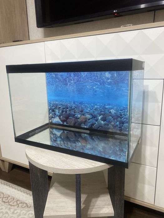 Продам два аквариума