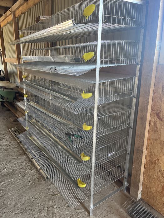 Клетка для содержания перепелов