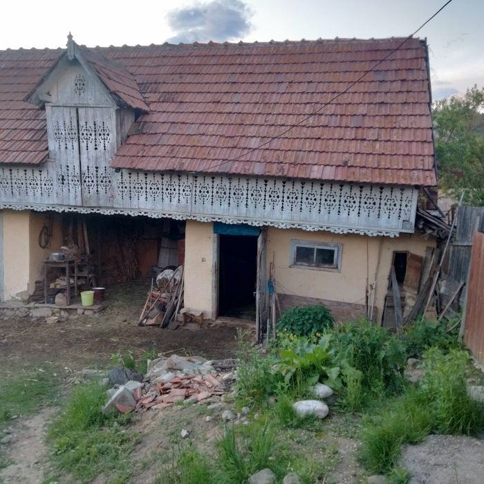 Vând vaca gestanta in 2 luni