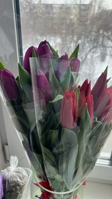 Тюльпаны к 8 марта