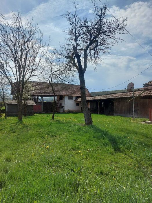 Vând casă în Cinta (jud.Mureș)