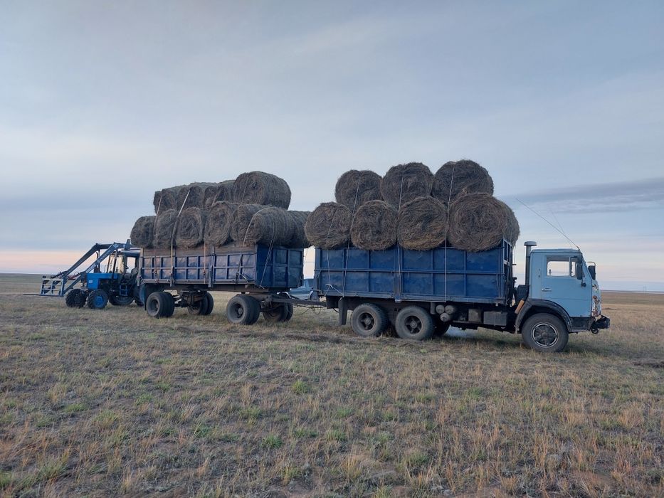 Продам сено в тюках и рулонах