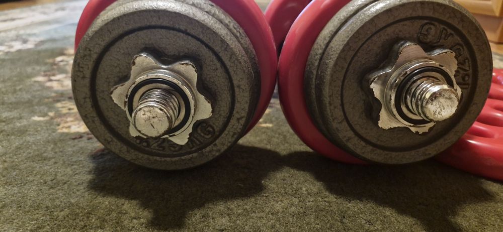 Set gatere reglabile 2×21 kg fiecare