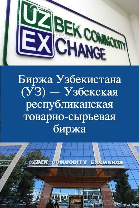 Аутсорсинг госзакупок для организаций и компаний