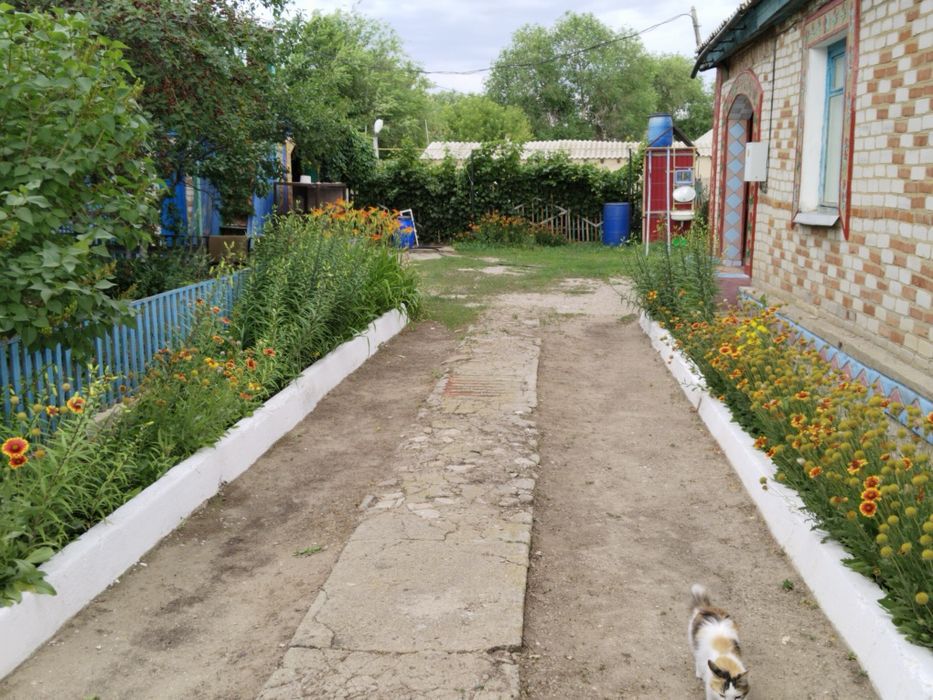 Продам частный дом в Кобде