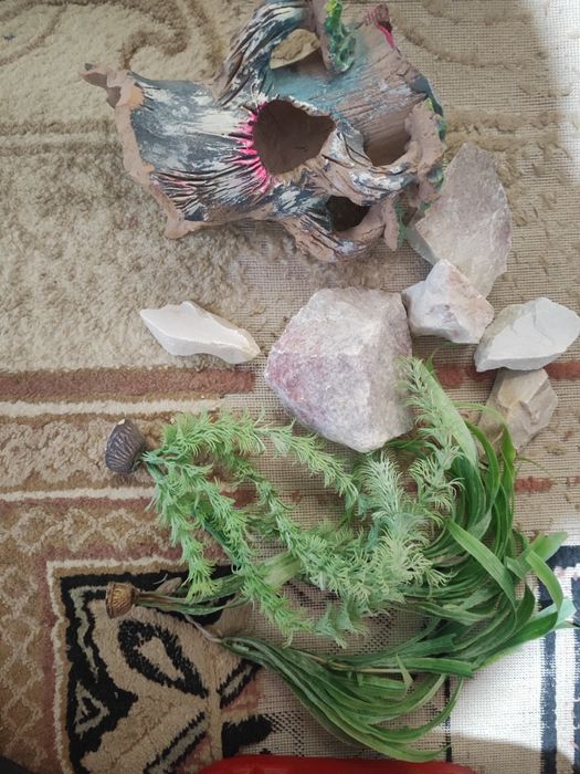 Akvariyum 250 litrli