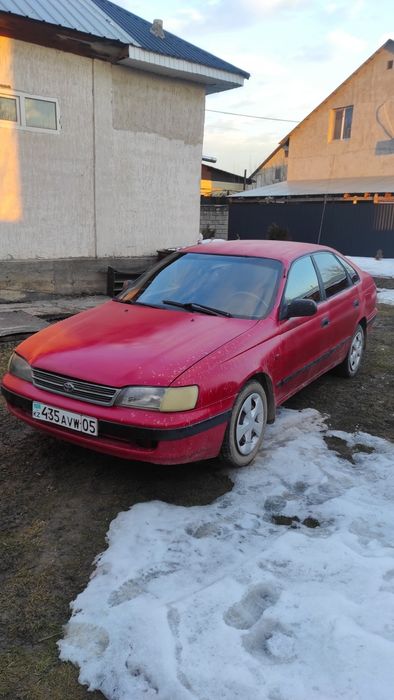 Таета карина е 1993