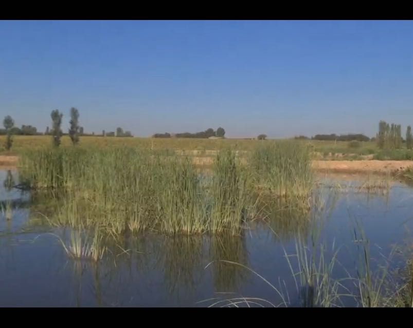 Рыбалка, проточная вода. Огромные пруды