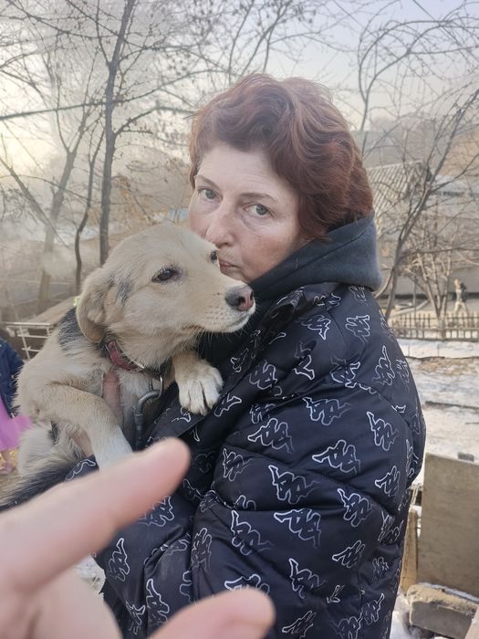 Отдам в заботливые руки