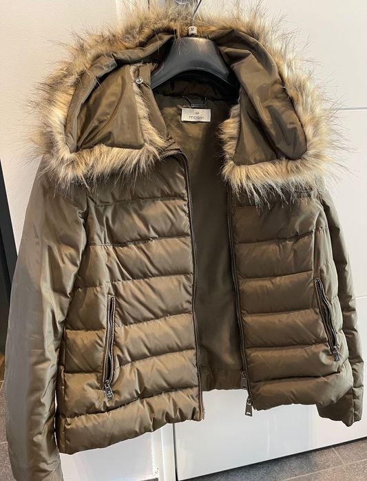 Geaca scurta , Motivi