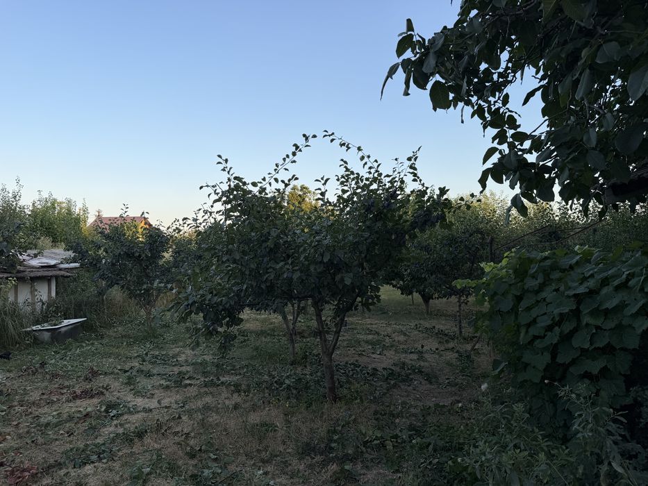 Casa de vanzare in Fetesti 1000mp