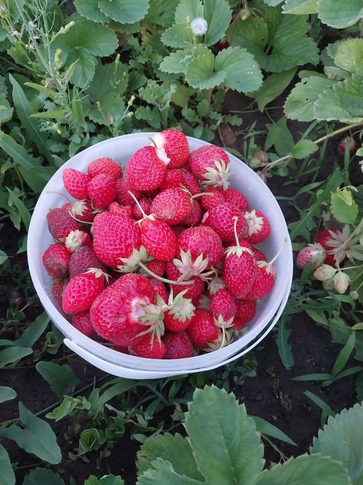 Продам дачу. ст. Хуторок