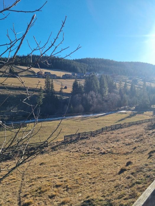 Teren de vanzare la munte langa vale poiana horea