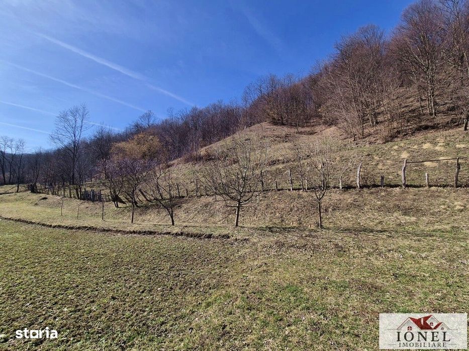 Vanzare casa in Metes