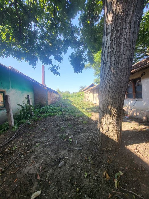 Vând casă in comuna Vădăstrița  jud Olt