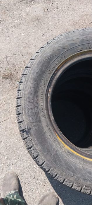 Зимние Шины 13 175/70