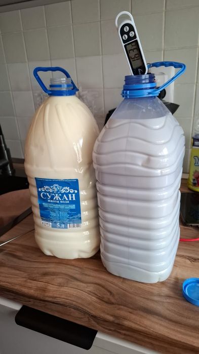 Сүт және сүт өнімдерін, яғни қаймақ, айран, творог, шұбат, қымыз