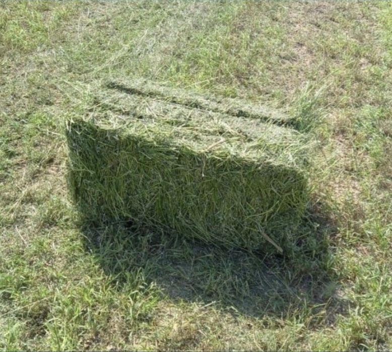 Жонышқа прес құмаи аралас