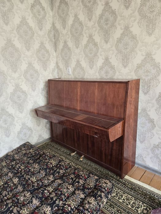 Пианино Ласточка катта