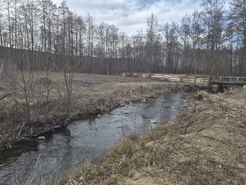 Teren 2.000 mp în Săpânța, Maramureș – între două brațe ale râului, id