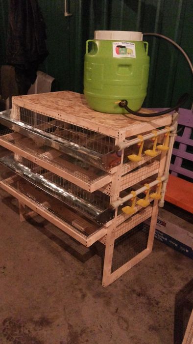 клетки для перепелов на 2 яруса