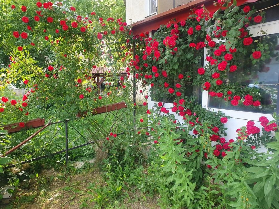 Garsonieră – Cartier Tudor, zona Diamant | Mobilată complet | Intrare privată