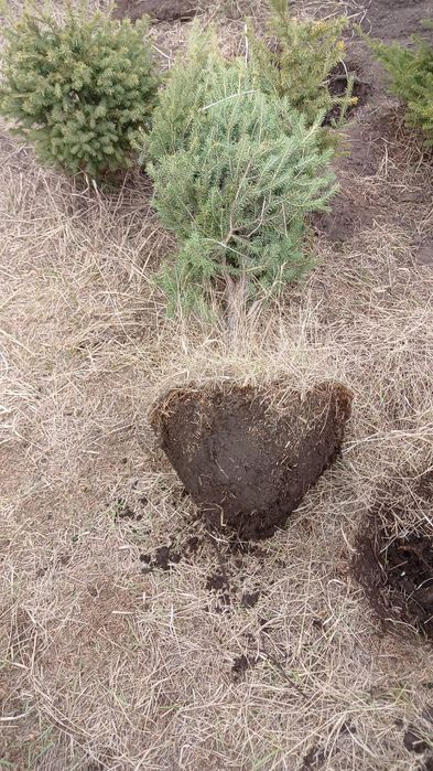 Начался сезон посадки!!!
