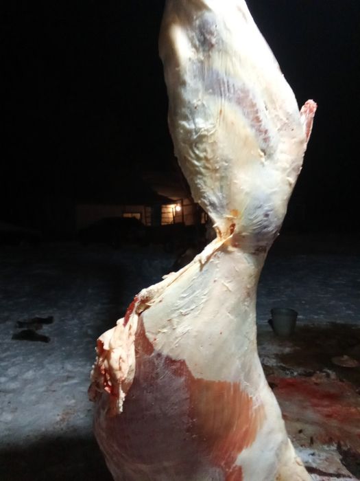 Конина Астана.Халял.ЭКО.