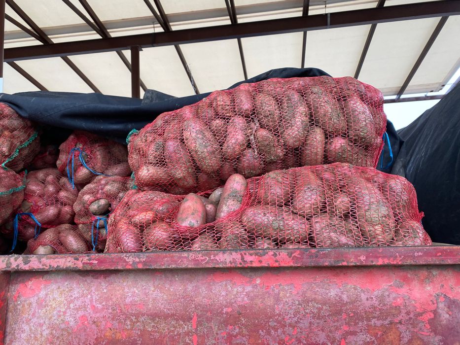 Cartofi albi si rosi  de vanzare