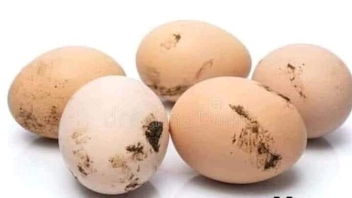 Vând, oua ,gâște, rate,,găini