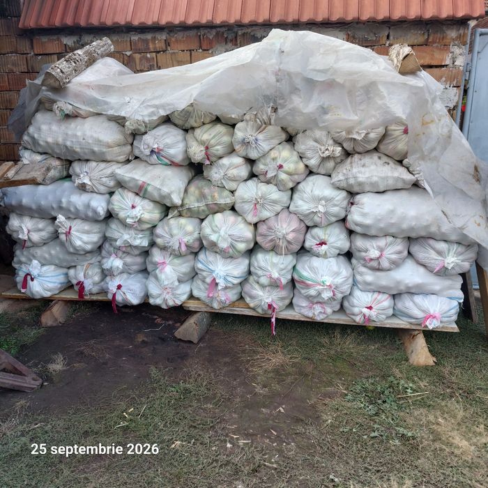 Vand mere pentru tuica, 1leu/1kg
Mai multe detalii la telefon!
