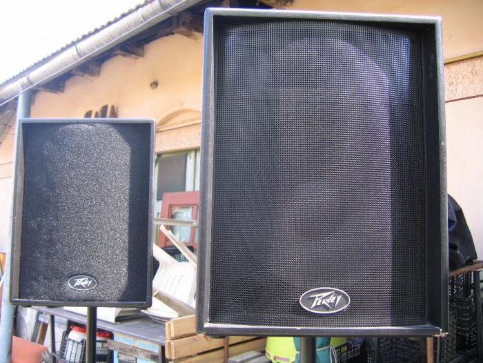 Boxe Peavey Eurosys 800 4ohm original England