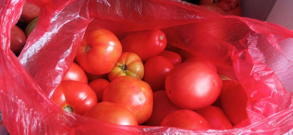 Продам домашние помидоры
