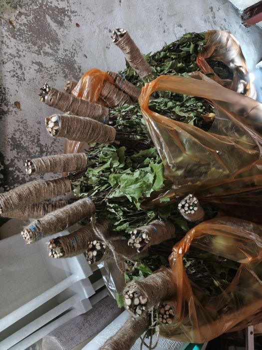 Веники для бани.