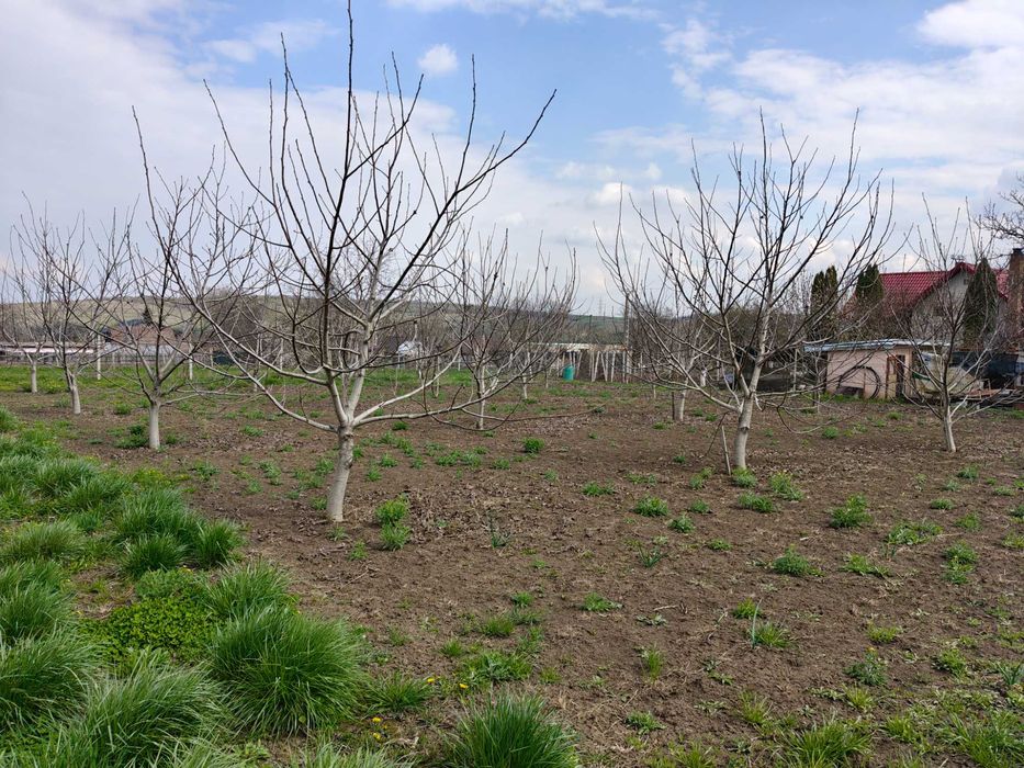 Teren de vanzare sat Madarjesti (com Baltati)