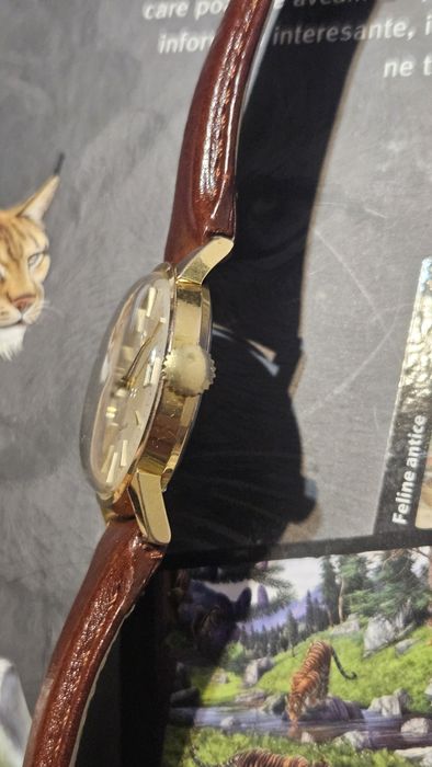 Omega Seamaster 600 cu data