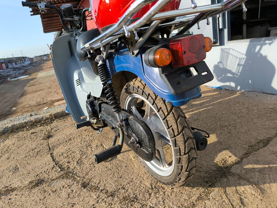 Suzuki birdie 49