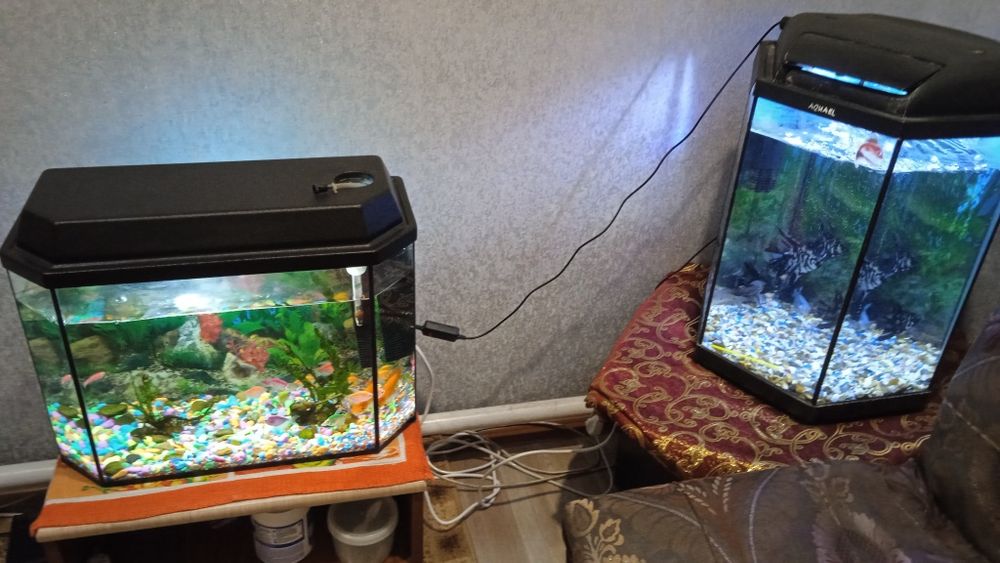 Продам аквариумы! Без рыбок!