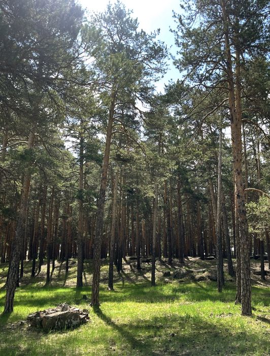 Участок 10 соток