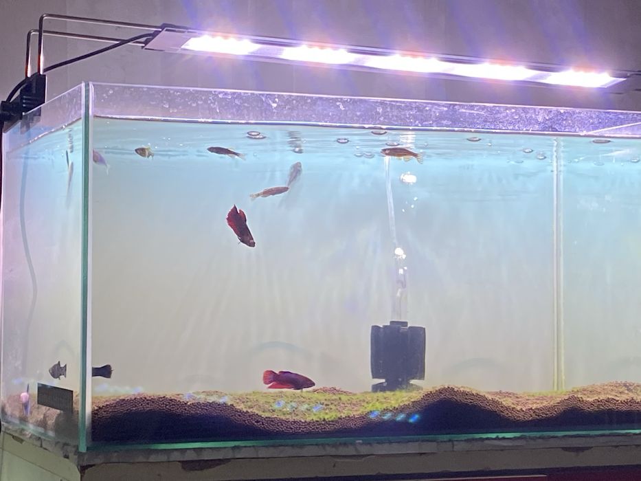 Аквариум заводской 50л с крышкой